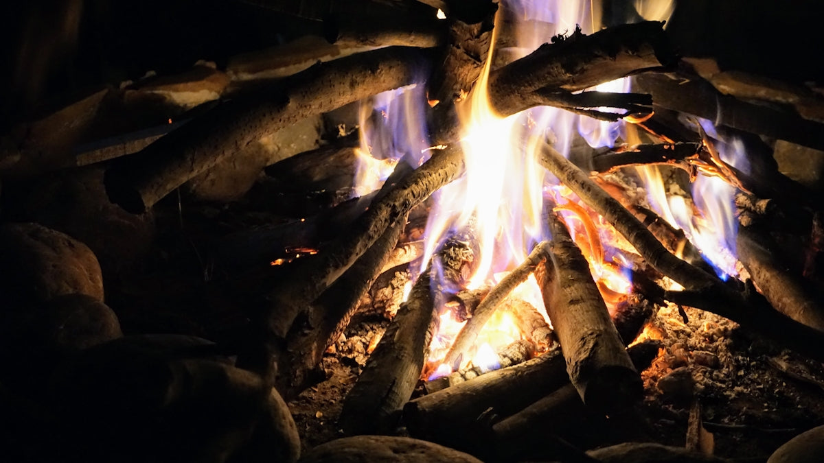 burning wood in fire pit